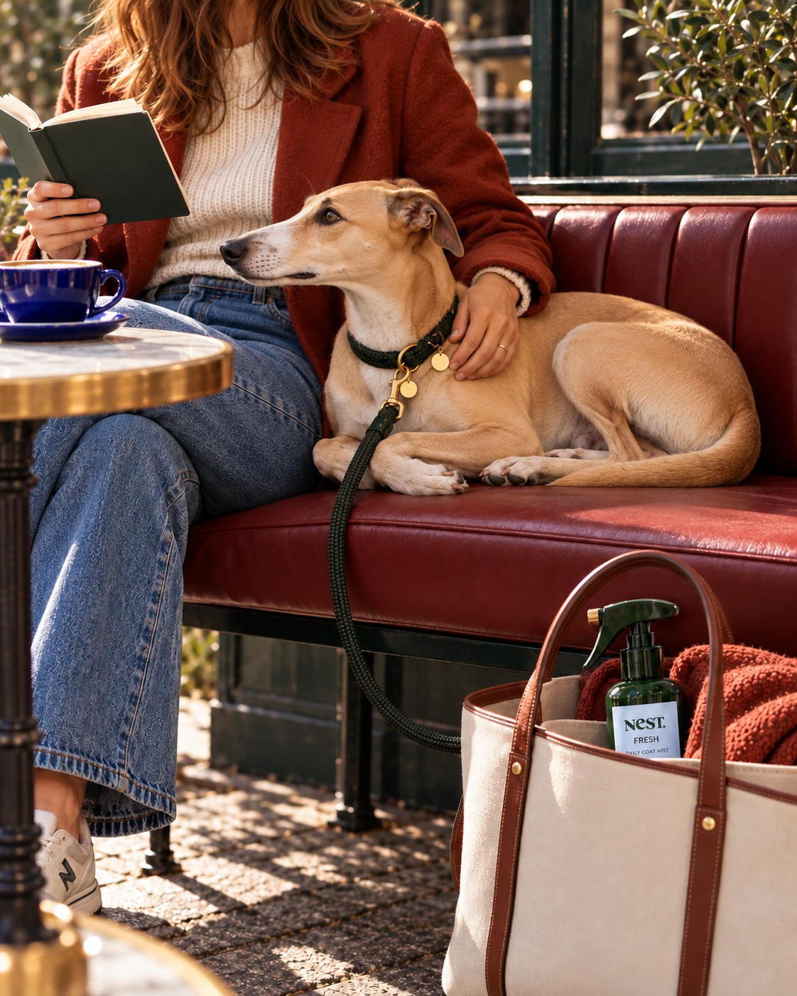 Whippet resting on a burgundy café bench with NeST FRESH in a tote