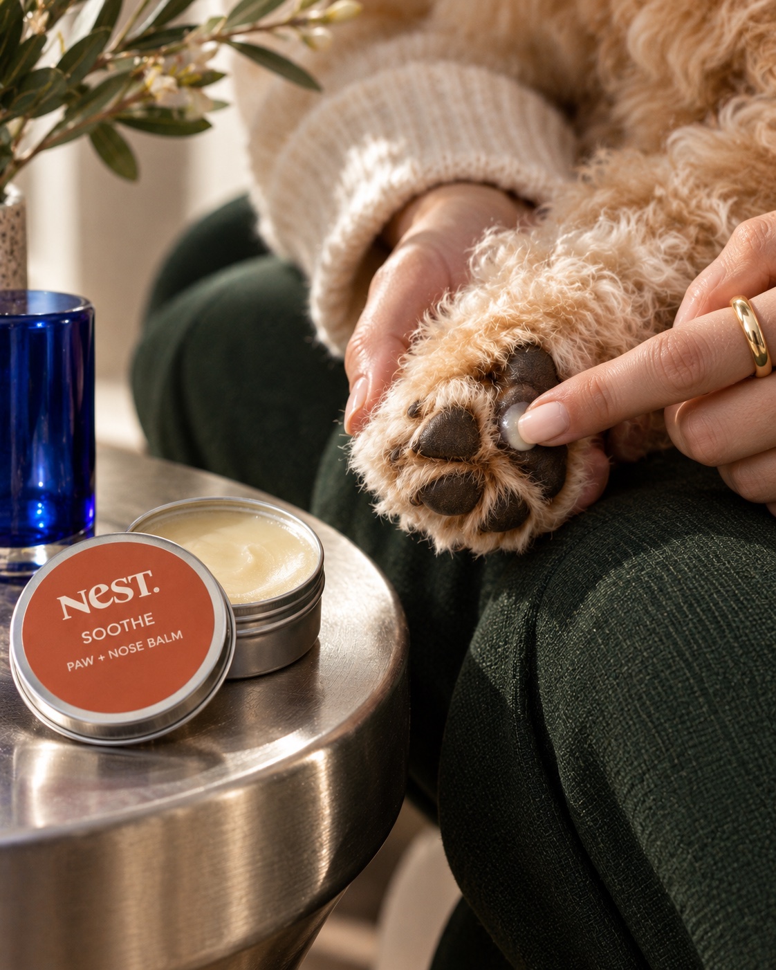 NeST SOOTHE balm applied to a clean paw